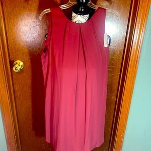 NWT Women soft lined wine color dress